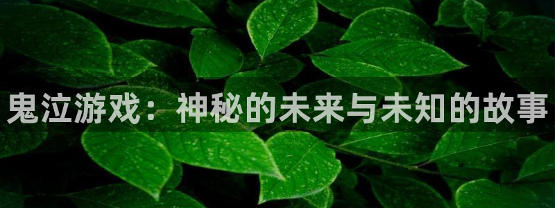 pp电子官网注册地址查询：鬼泣游戏：神秘的未来与未知的故事