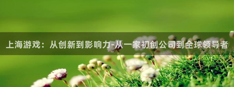 pp电子超纯啤酒怎么样：上海游戏：从创新到影响力-从一家初创公司到全球领导者