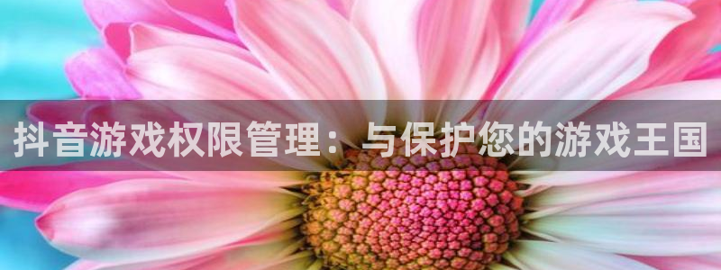 东莞pp电子信息科技有限公司：抖音游戏权限管理：与保护您的游戏王国