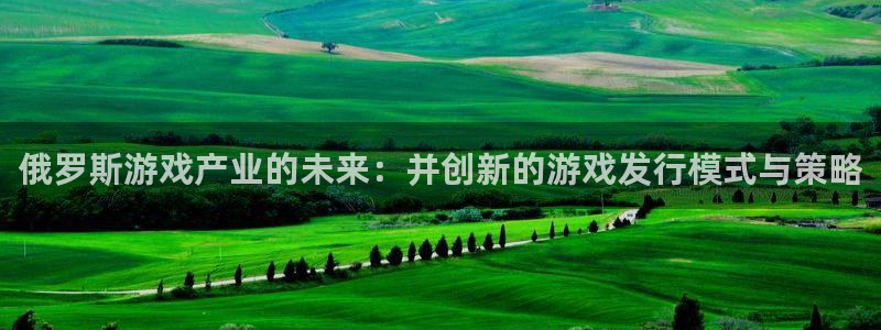 pp电子官网平台招商qq：俄罗斯游戏产业的未来：并创新的游戏发行模式与策略