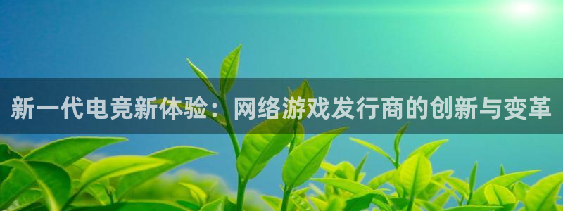pp电子官网注册方法有哪些软件：新一代电竞新体验：网络游戏发行商的创新与变革