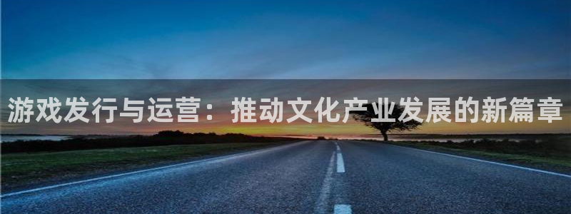 pp电子主管：游戏发行与运营：推动文化产业发展的新篇章