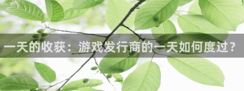 pp电子子集团：一天的收获：游戏发行商的一天如何度过？