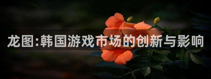 pp电子子图片