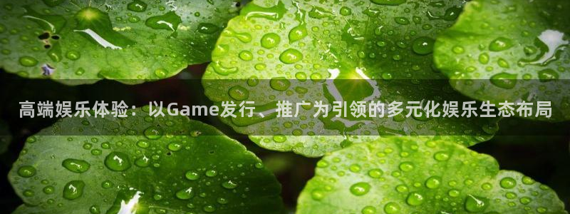 pp电子官网注册平台官网登录：高端娱乐体验：以Game发行、推广为引领的多元化娱乐生态布局