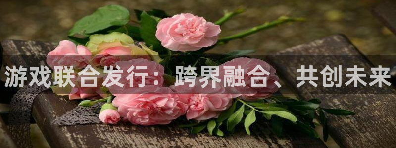 pp电子子 到底怎么样：游戏联合发行：跨界融合、共创未来