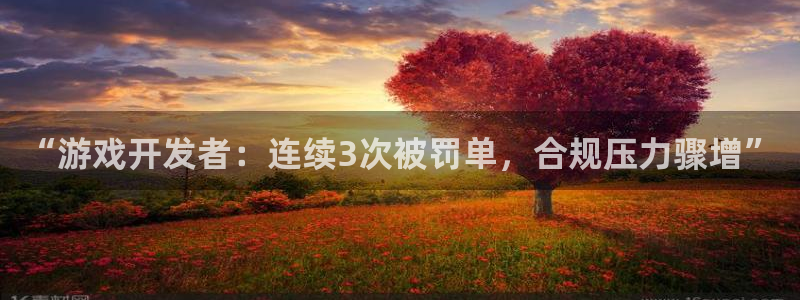 广州pp电子运动服