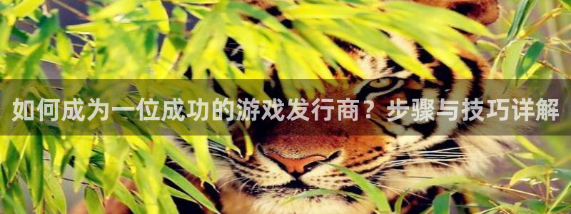pp电子官网代理开号