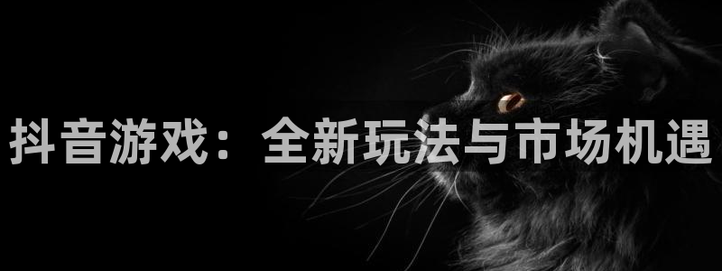 pp电子工坊：抖音游戏：全新玩法与市场机遇