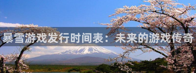 pp电子官网注册平台官网下载：暴雪游戏发行时间表：未来的游戏传奇
