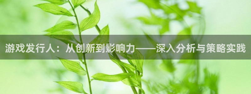 pp电子品牌