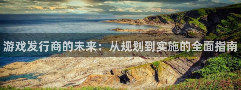 pp电子平台登录入口官网：游戏发行商的未来：从规划到实施的全面指南