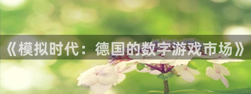 pp电子官网平台代理条件