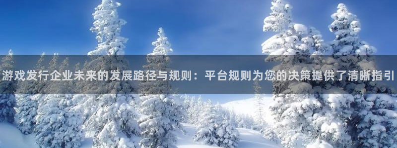 pp电子电子商务有限公司怎么样