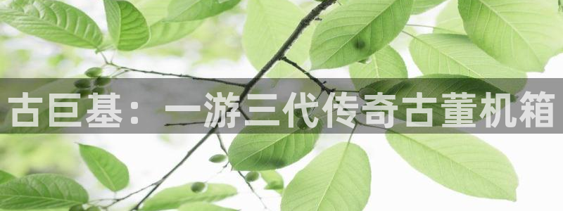 pp电子官网客服电话