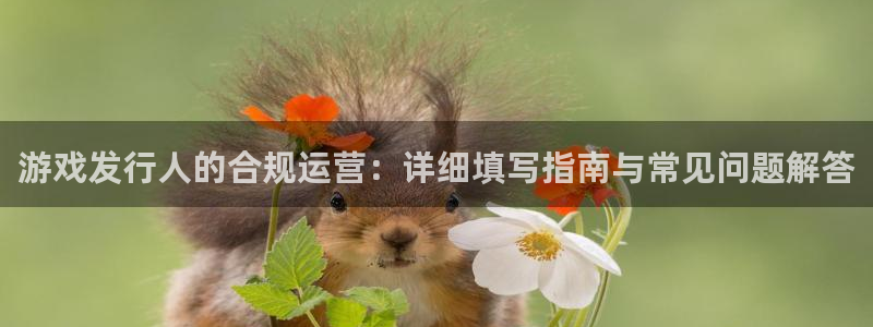 pp电子涂料怎么样：游戏发行人的合规运营：详细填写指南与常见问题解答