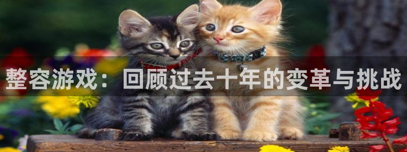 pp电子官网注册平台：整容游戏：回顾过去十年的变革与挑战