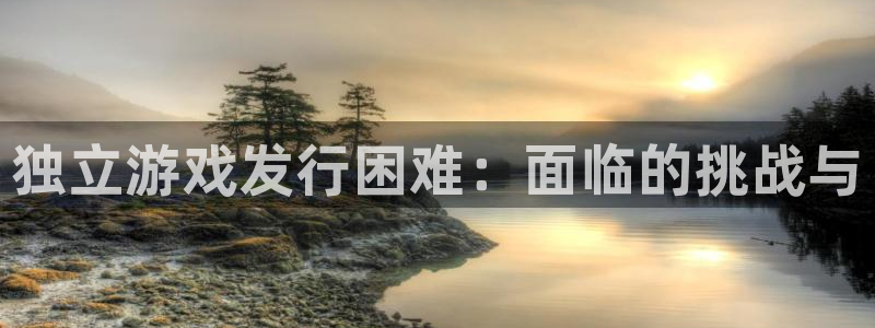 pp电子官网平台是骗局吗：独立游戏发行困难：面临的挑战与