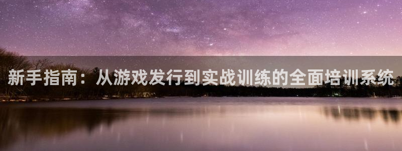 pp电子技术有限公司