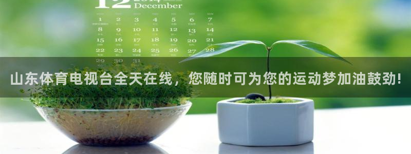 绿茵直播免费看球：山东体育电视台全天在线，您随时可为您的运动梦加油鼓劲!