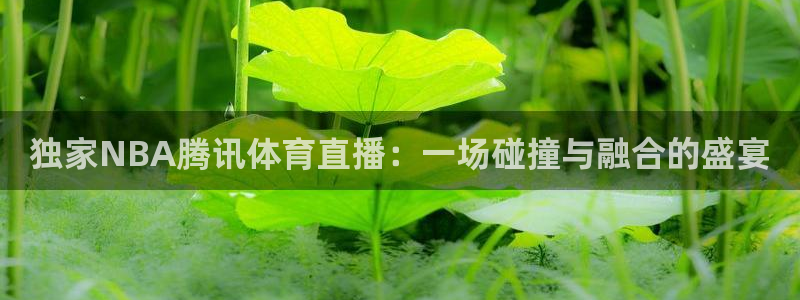 绿茵体育免费直播入口：独家NBA腾讯体育直播：一场碰撞与融合的盛宴