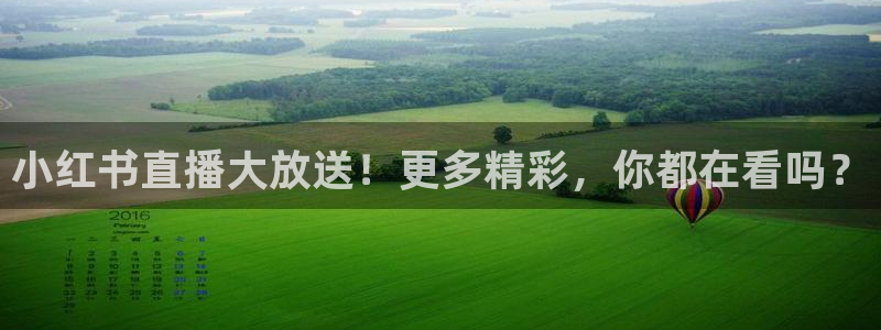 绿茵足球直播：小红书直播大放送！更多精彩，你都在看吗？