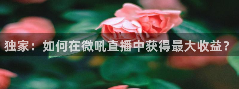 绿茵体育直播官网下载：独家：如何在微吼直播中获得最大收益？