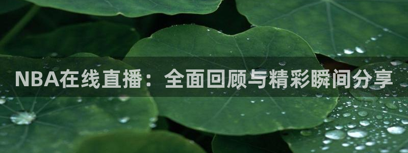 足球:无敌之全能绿茵巨星：NBA在线直播：全面回顾与精彩瞬间分享
