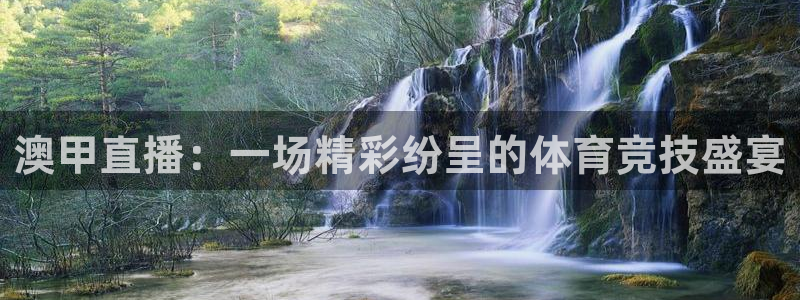 绿茵直播体育app下载安装最新版：澳甲直播：一场精彩纷呈的体育竞技盛宴
