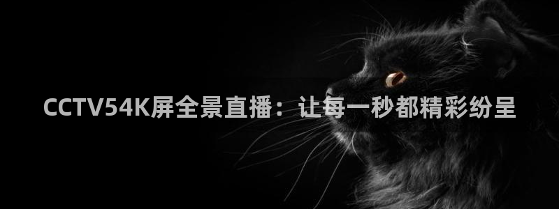 绿茵直播体育在线观看免费视频：CCTV54K屏全景直播：让每一秒都精彩纷呈