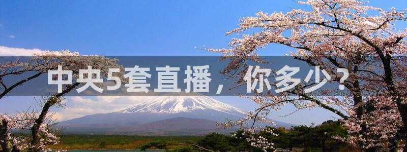 绿茵直播体育app下载：中央5套直播，你多少？