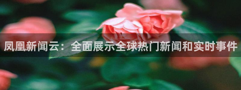足球:无敌之全能绿茵巨星：凤凰新闻云：全面展示全球热门新闻和实时事件