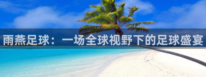 绿茵足球直播间：雨燕足球：一场全球视野下的足球盛宴