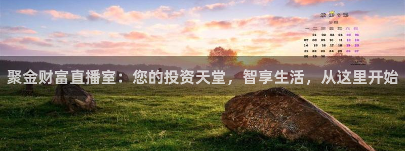 绿茵体育足球免费直播：聚金财富直播室：您的投资天堂，智享生活，从这里开始