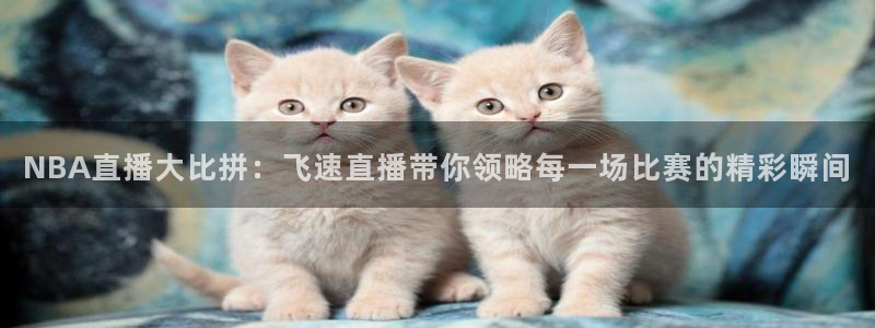 绿茵直播体育在线观看高清：NBA直播大比拼：飞速直播带你领略每一场比赛的精彩瞬间