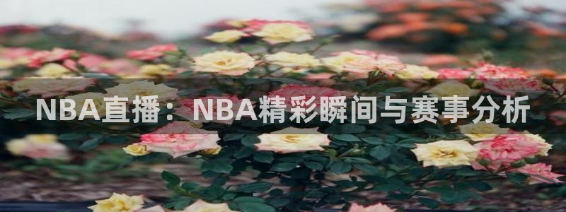 绿茵体育在线直播：NBA直播：NBA精彩瞬间与赛事分析